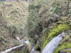 -鹿院坪生态旅游景区