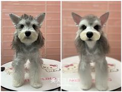 -FAELING PETS美天灵宠物(合生汇店)