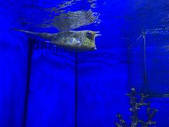 -多彩贵州城极地海洋世界