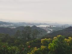 -东莞市大岭山森林公园