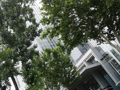 -dotcom coffee古点咖啡(致真大厦店)