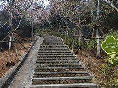 -军营村