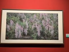 -江苏省美术馆(长江路新馆)