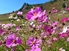 -克什克腾世界地质公园青山景区