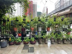 -静颐茶馆·素食(龙华店)
