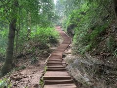 -青城山