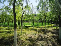 -东郊湿地公园