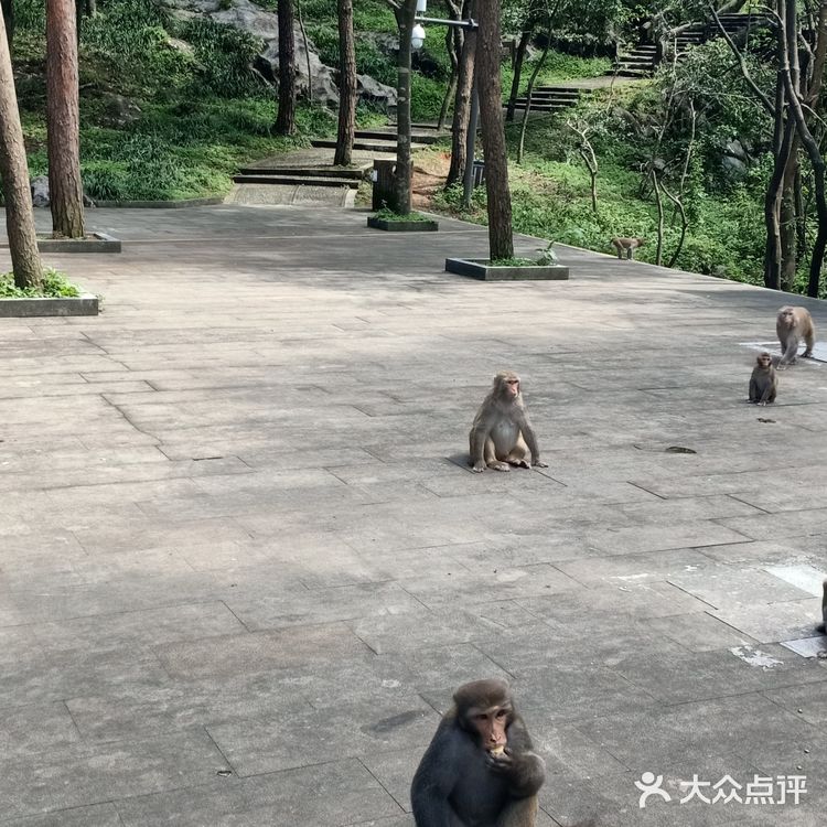 甚有移步换景，咋舌称奇，乐中其中，言就未尽