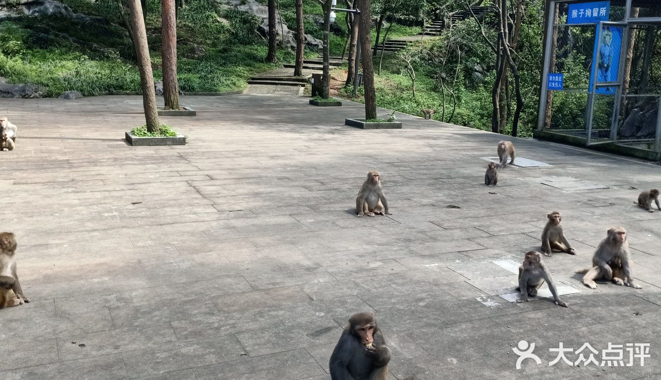甚有移步换景,咋舌称奇,乐中其中,言就未尽