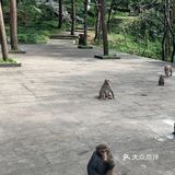 甚有移步换景,咋舌称奇,乐中其中,言就未尽