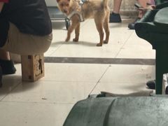 -金锅小厨(乐活街店)