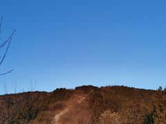 -北京西山国家森林公园