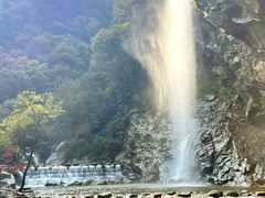 -少华山国家森林公园