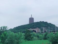 -永定河休闲森林公园