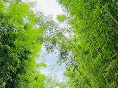 -蝴蝶泉公园