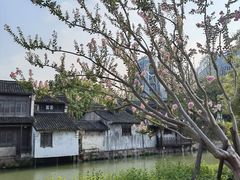 -乌镇景区