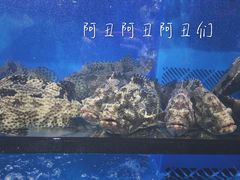 -盒马鲜生(曜一城店)