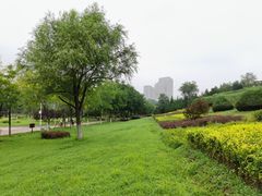 -滨河世纪广场公园