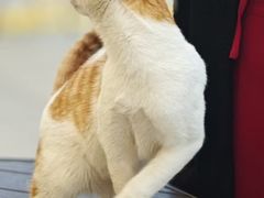 -华大咖啡(华大时空中心店)