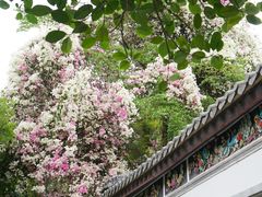 -深圳国际园林花卉博览园