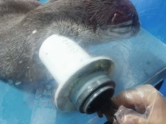 -大连圣亚海洋世界