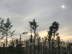 -秦文明广场