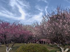 -采石矶景区