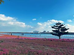 -渔家大院·地道威海菜(石岛店)