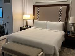 -澳门威尼斯人综合度假区