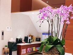 -TSK齿科德申会口腔门诊·联洋诊所