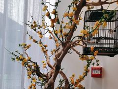 -味+新京宴·烤鸭·北京菜(创意谷店)
