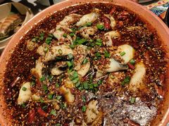 -云海肴·汽锅鸡·云南菜(天山百盛优客店)