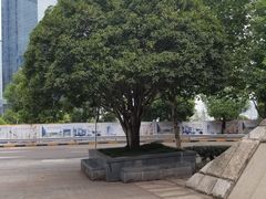 -重庆市江北嘴中央商务区中央公园