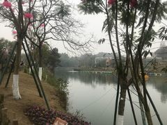 -黄龙溪欢乐田园