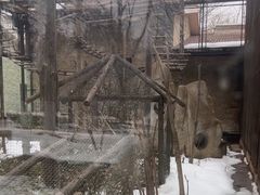 -石家庄市动物园