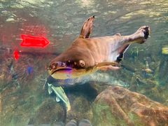 -太平洋海底世界