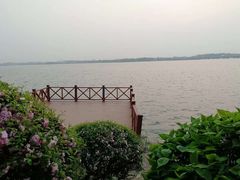 -丁香湖公园