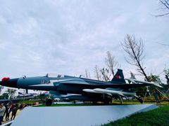 -成飞公园