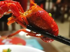 香辣小龙虾-回家吃饭·地道南昌菜(建德观总店)