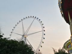 -锦江乐园舞狸花花游园会(夜场专享)