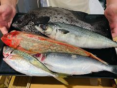 -镹·鱼料理  国产鱼使用店