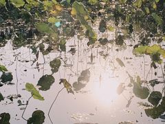 -马家湾湿地公园