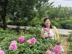 -洛阳市隋唐城遗址植物园