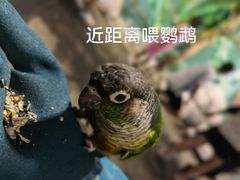 -海合安天津极地海洋公园