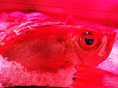 -海龙珠海鲜餐厅