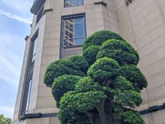-上海苏宁宝丽嘉酒店·嘉府壹号中餐厅