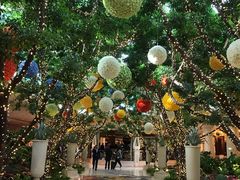 -拉斯维加斯永利酒店