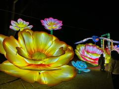 -洛阳市隋唐城遗址植物园