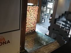 -百好乐宠物友好餐厅(朝外大街店)