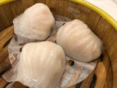 金鼎鲜味虾饺皇-广州酒家(文昌总店)